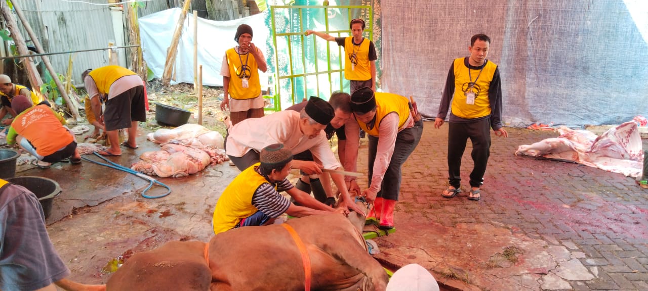 WhatsApp Image 2025 06 06 at 09.38.02 3fd1af5f